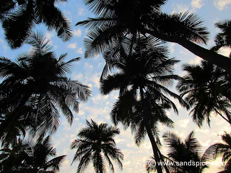 South Goan Beaches
