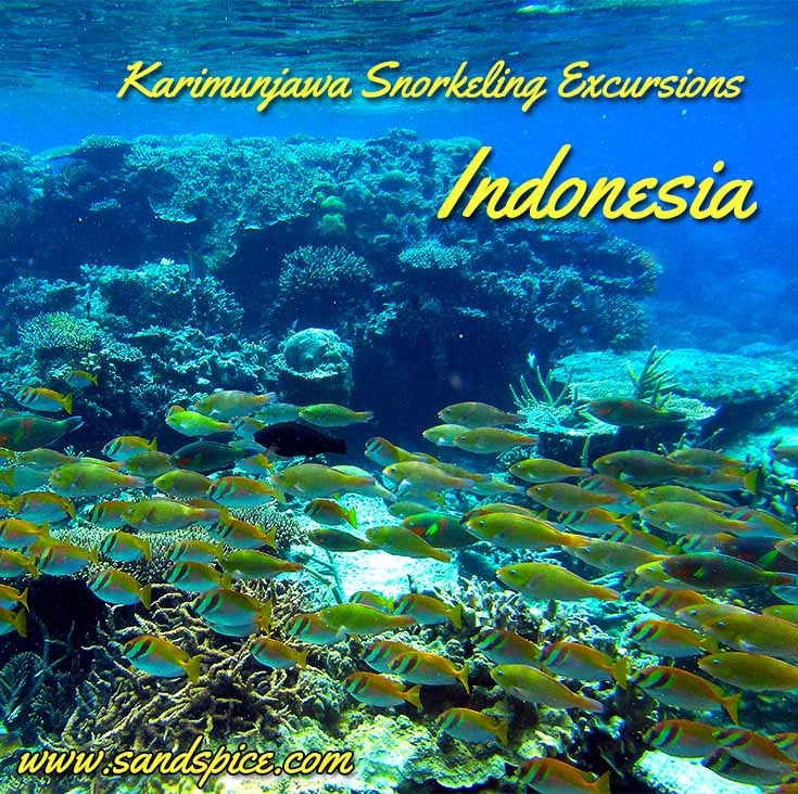 Karimunjawa Snorkeling Excursions and Island Visits