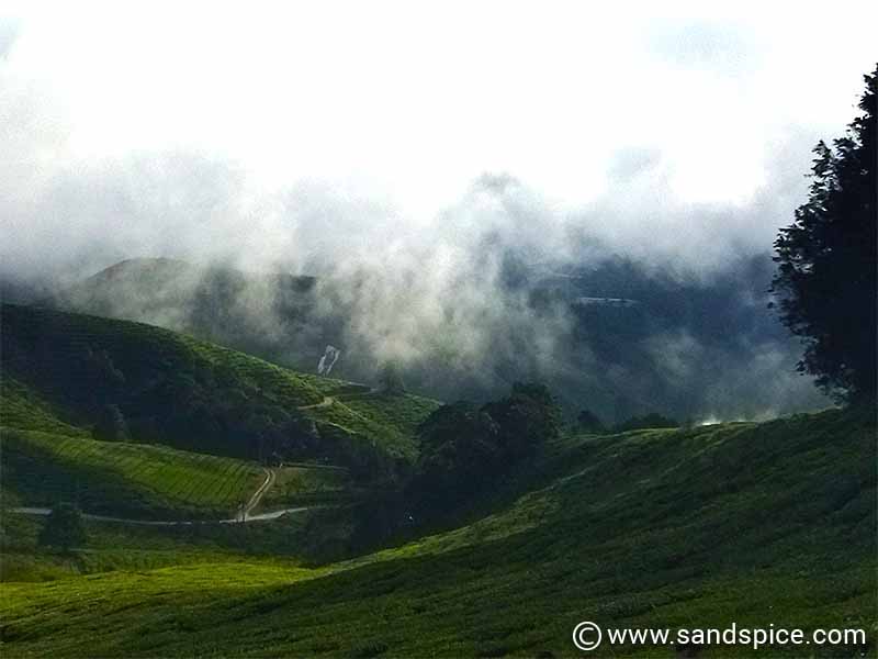 Cameron Highlands