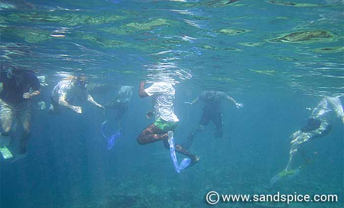 "Pay attention while I'm talking!" Maldives under the reef snorkel