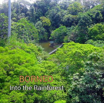 Sepilok Borneo - Where to Stay & Eat Sepilok Borneo - Where to Stay & Eat