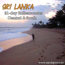 Sri Lanka Travel Plan: 21-day rollercoaster to World’s End and beyond