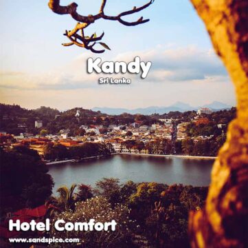 Kandy Lake, Sri Lanka 🇱🇰 and the Wood Apples are Delicious!