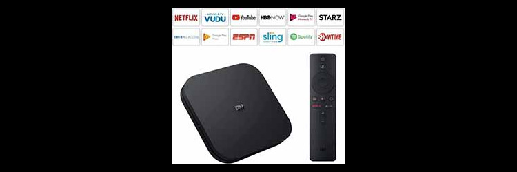 Portable Streaming Media Player