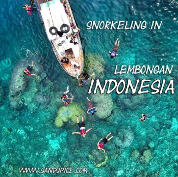 Lembongan Island Snorkeling 🥽 Mangrove Point to Secret Manta