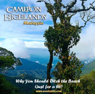 Cameron Highlands Promo